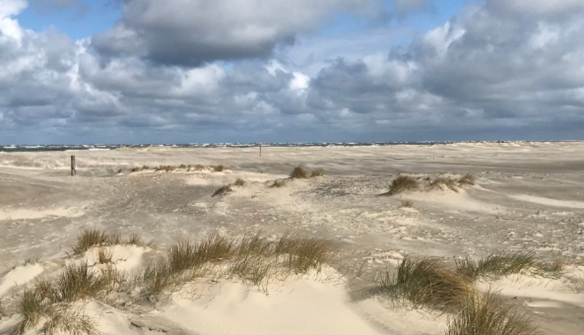ameland ameland waddenwandelen