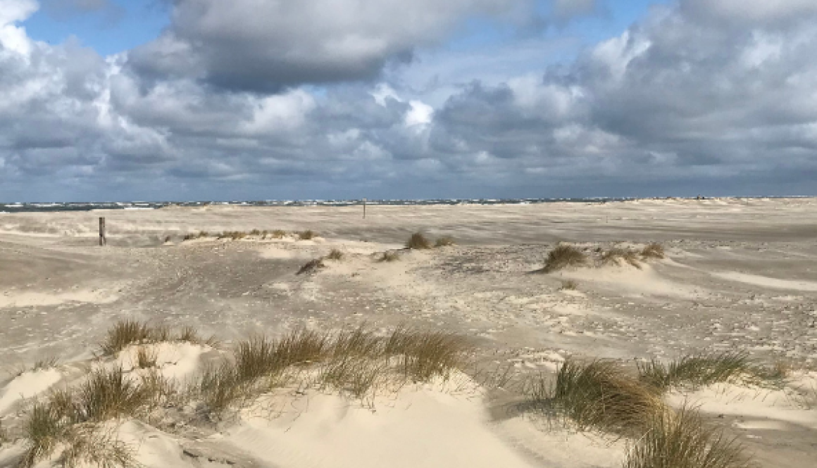 ameland waddenwandelen